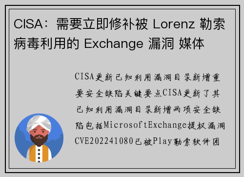 CISA:需要立即修补被 Lorenz 勒索病毒利用的 Exchange 漏洞 媒体 CISA:需要立即修补被 Lorenz 勒索病毒利用的 Exchange 漏洞 媒体